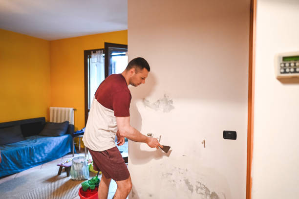 Best Industrial Mold Remediation in Mayfield, OH